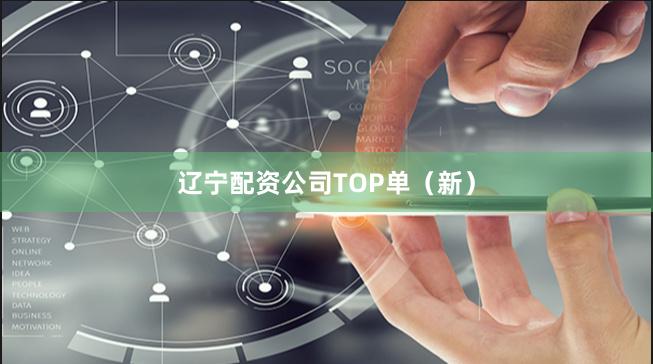 辽宁配资公司TOP单(新)