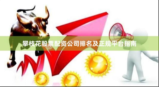 攀枝花股票配资公司排名及正规平台指南