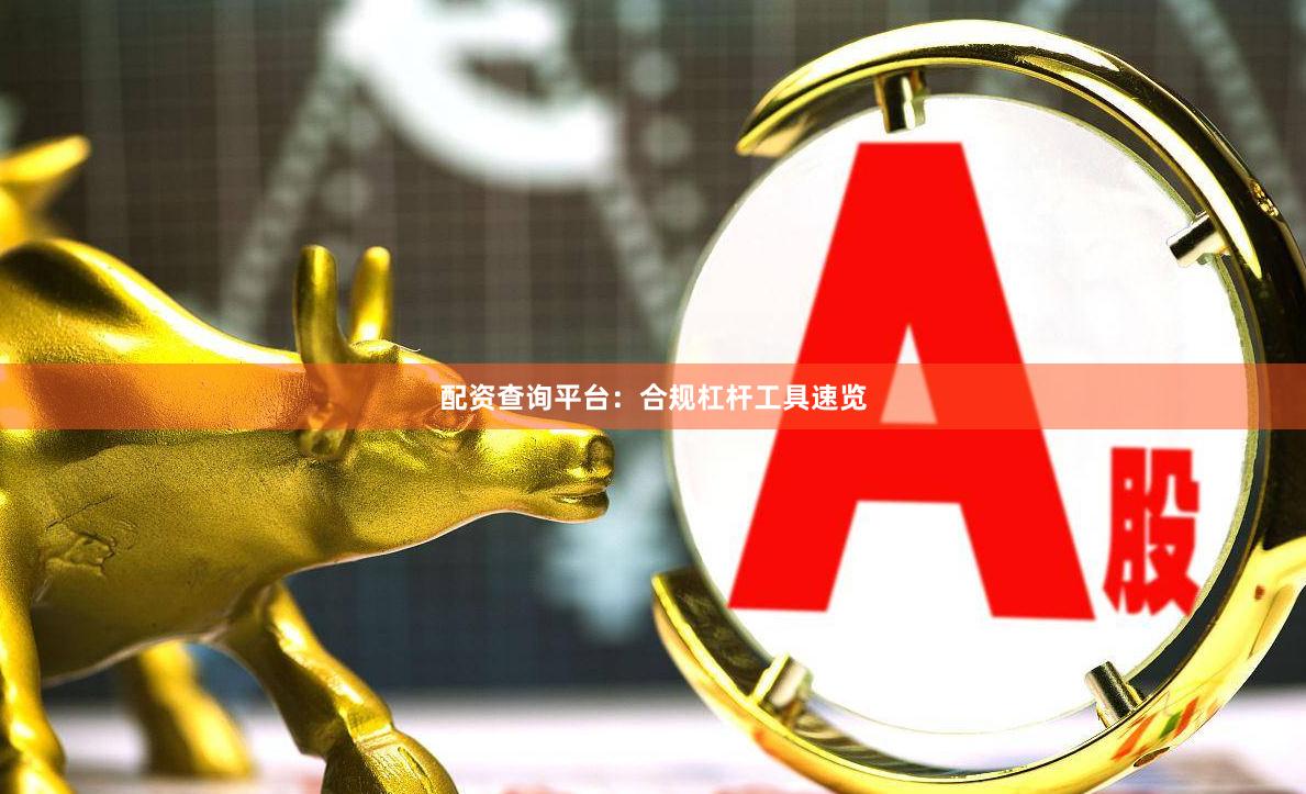 配资查询平台：合规杠杆工具速览