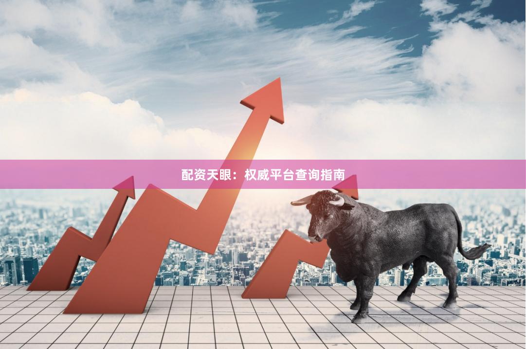 配资天眼：权威平台查询指南