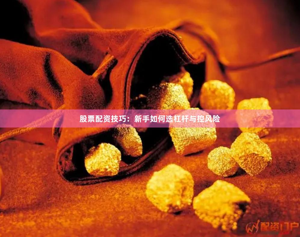 股票配资技巧：新手如何选杠杆与控风险